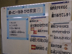 IMGP7488