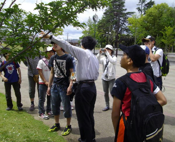 chuukura02