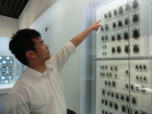 修学旅行１