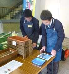 市役所販売４