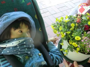 自分で苗を選んで，寄せ植え完成！！