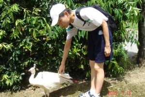 高農５