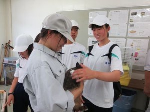 高農６